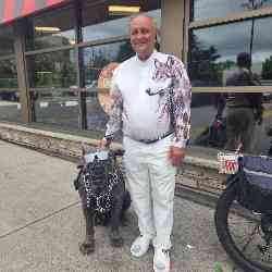 Single Armenian man in Toronto, Ontario, Canada