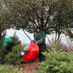 Single Armenian woman in Yerevan, Армения, Armenia
