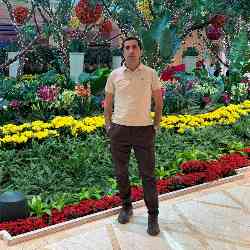 Single Armenian man in Glendale, Калифорния, United States