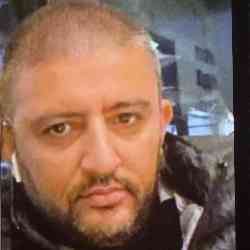 Single Armenian man in Los Angeles, CA, United States