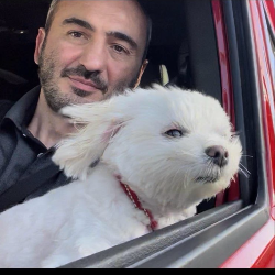 Single Armenian man in Glendale, California, United States