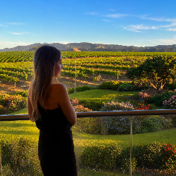 Single Armenian woman in Los Angeles, CA, United States