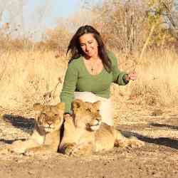 Single Armenian woman in Boston, Massachusetts, United States