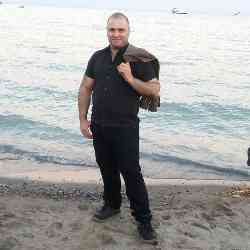 Single Armenian man in Toronto, Ontario, Canada